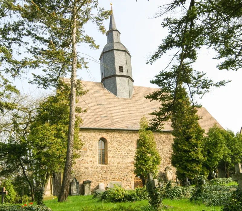 Jakobikirche im Sonnenlicht im Sommer im Vordergrund grüne Bäume und Wiese